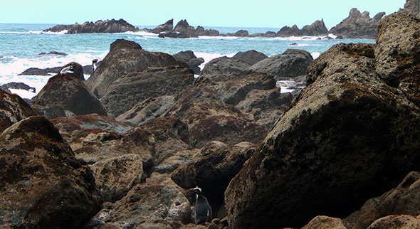 Last time around:  approaching "The Base" at Jackson Head