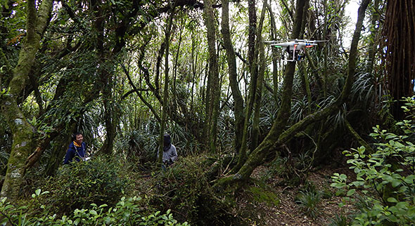 Multicopter-forest-flight-stunt pulled off like a boss