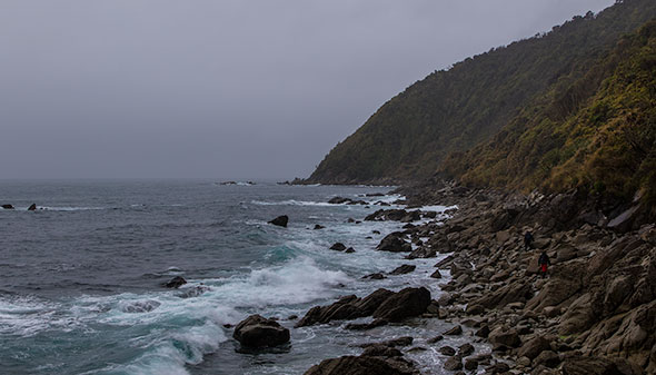 Scrambling over the rocky shore to our Jackson Head study site for the first time this season