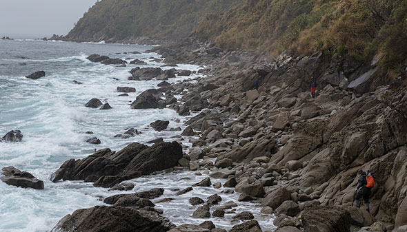 An image that defies the reality of the high tide that made walking kind of more fun