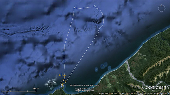 Foraging tracks that illustrate the effort penguins have to put into feeding their young this season