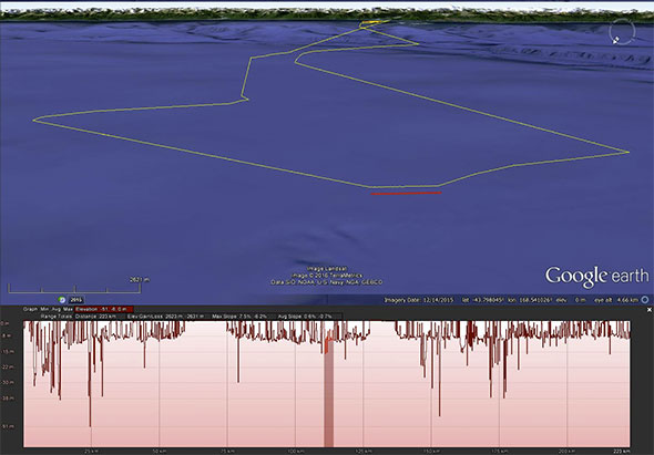 The same foraging trip in 3D, although dives are difficult to see