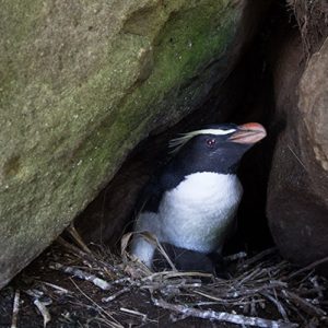 Living on shaky ground Living on shaky ground