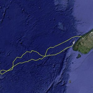 Homecoming Homecoming