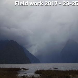 Field work 2017, Days 8-10