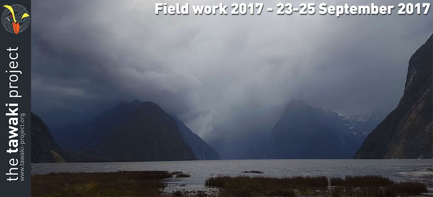 Field work 2017, Days 8-10 Field work 2017, Days 8-10
