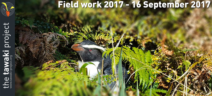 Field work 2017, Day 1 Field work 2017, Day 1