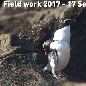Field work 2017, Day 2