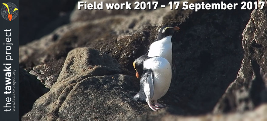 Field work 2017, Day 2 Field work 2017, Day 2