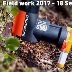 Field work 2016, Day 3