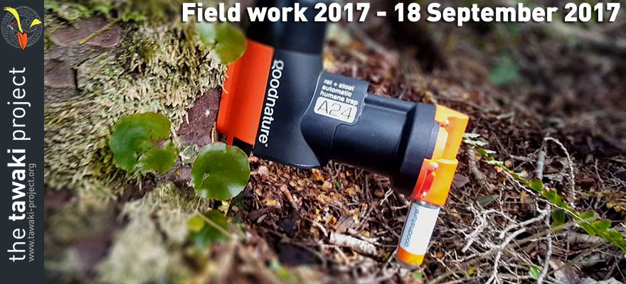 Field work 2016, Day 3 Field work 2016, Day 3