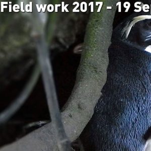 Field work 2017, Day 4