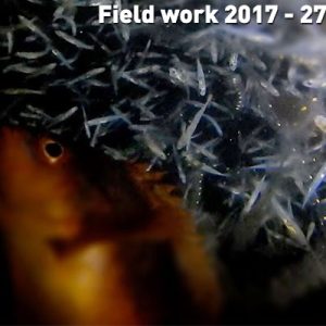 Field work 2017, Day 12 Field work 2017, Day 12