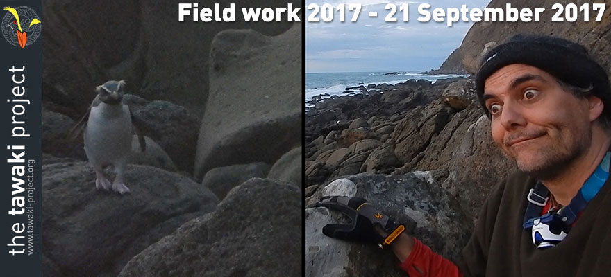 Field work 2017, Day 6 Field work 2017, Day 6