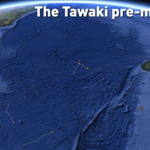 The tawaki pre-moult journey