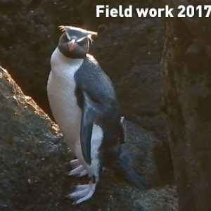 Field work 2017, Day 18 Field work 2017, Day 18