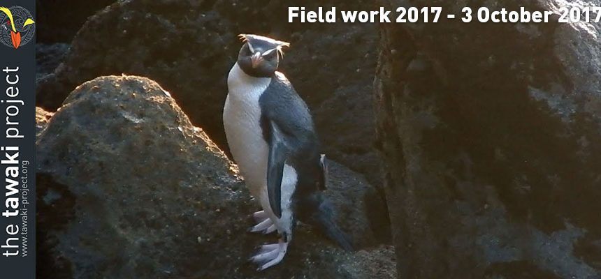 Field work 2017, Day 18