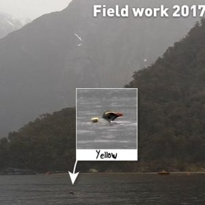 Field work 2017, Day 21 Field work 2017, Day 21
