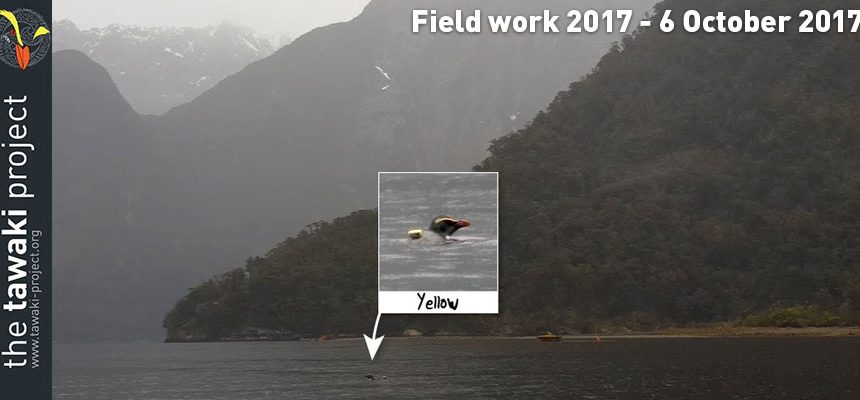 Field work 2017, Day 21