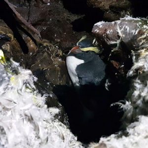 Underground Winter Wonderland Underground Winter Wonderland