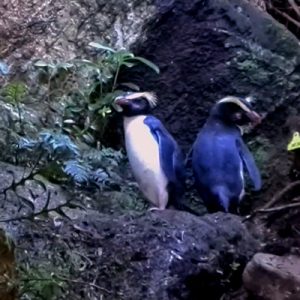 Post-dinner cool-down Post-dinner cool-down