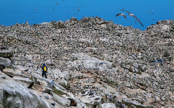 On Proclamation Island