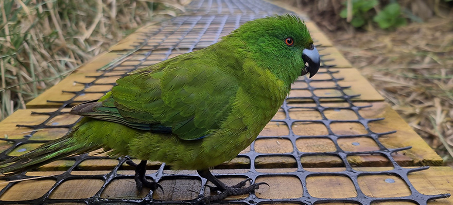 Two team business Two team business