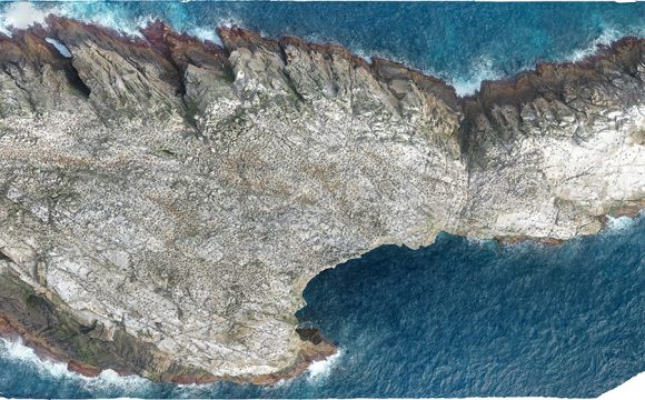 Bonus level: finishing up the Bounties