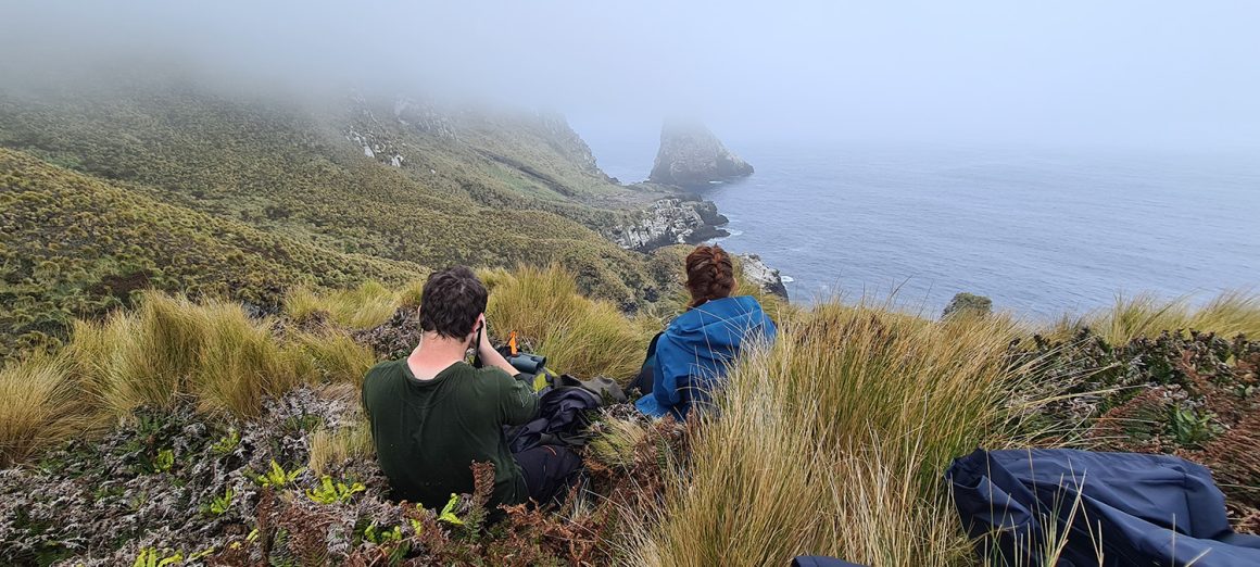 Welcome to the Antipodes…