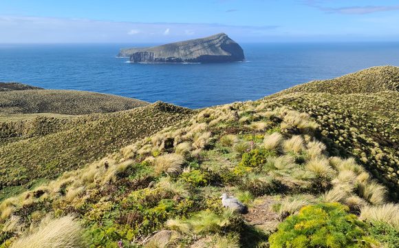 A day in pictures and videos