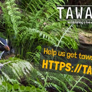 Fundraising campaign for TawakiCam launched