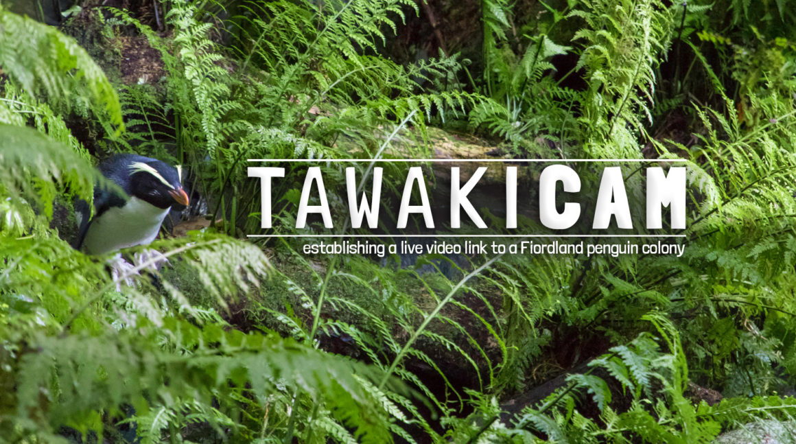 Crowdfunding TAWAKI.CAM Crowdfunding TAWAKI.CAM