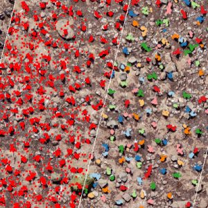 Penguins from above – Zooniverse β