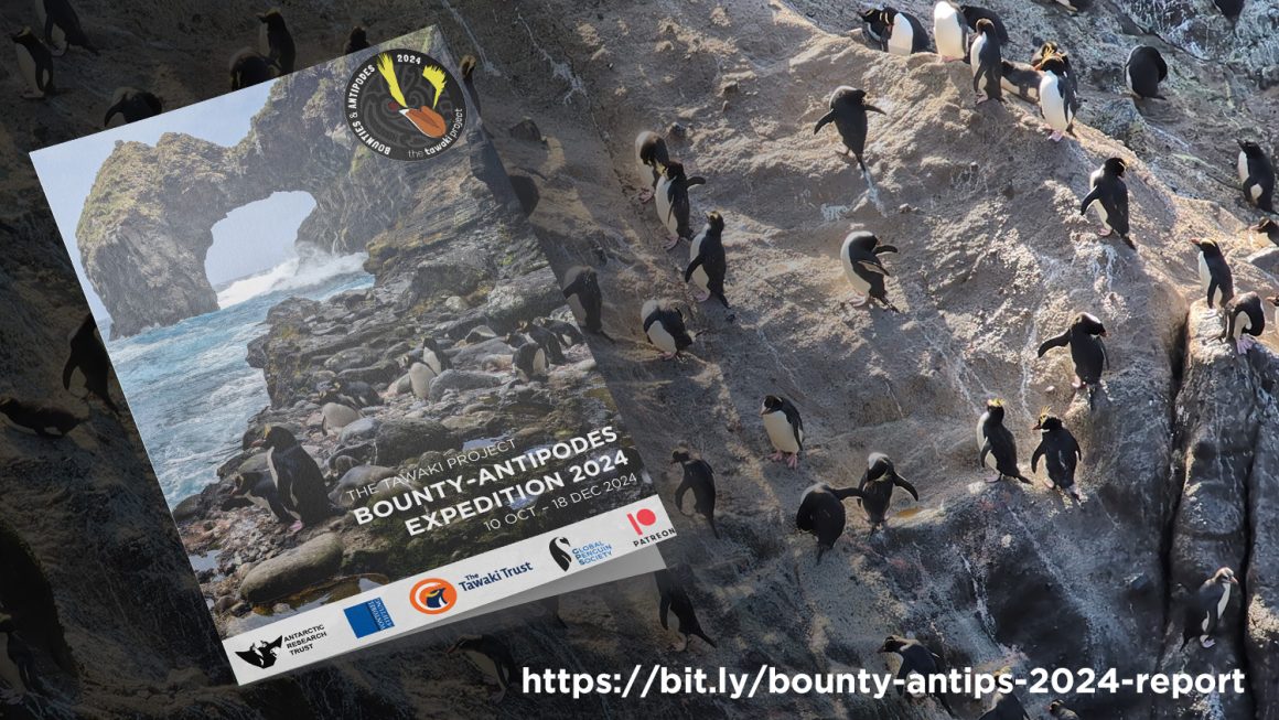 2024 Expedition report is out!