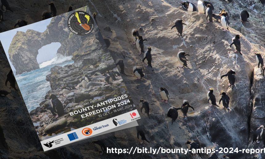 2024 Expedition report is out! 2024 Expedition report is out!