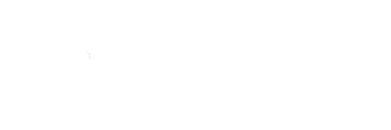 The Tawaki Project