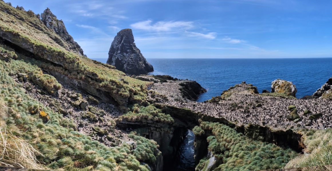 Christmas on Antipodes Christmas on Antipodes