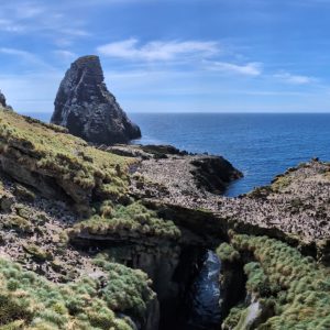 Christmas on Antipodes