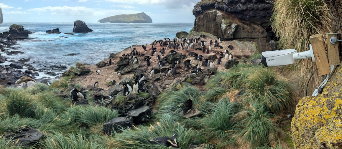 Launch of TawakiCam Launch of TawakiCam