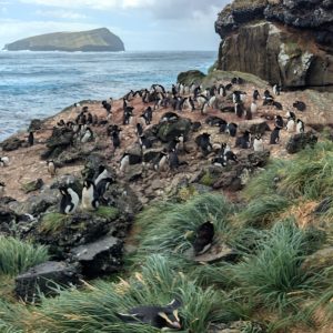 Launch of TawakiCam Launch of TawakiCam