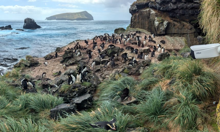 Launch of TawakiCam Launch of TawakiCam